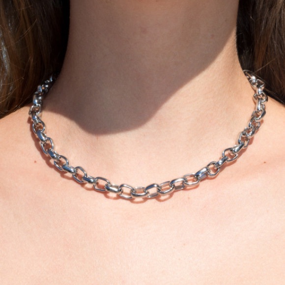 Brandy Melville Jewelry - Brandy Melville Silver Chain Necklace